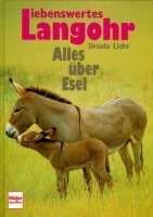 Liebenswertes Langohr: Alles über Esel