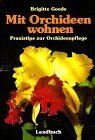 Mit Orchideen wohnen