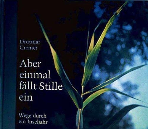 Aber einmal fällt Stille ein. Wege durch ein Inseljahr