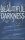 Beautiful Darkness (Beautiful Creatures, 2, Band 2)