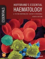 Hoffbrands Essential Haematology (Essentials)