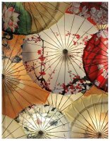 Bali Umbrellas: Blankbook (Blankbook (RB906))