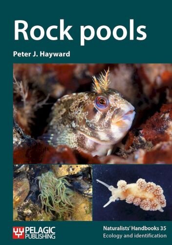 Rock Pools (Naturalists Handbooks, 35, Band 35)