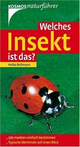 Welches Insekt ist das?: 170 Insekten einfach bestimmen. Typische Merkmale auf einen Blick