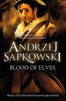 Blood of Elves: Witcher 1 – Now a major Netflix...