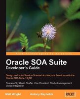 Oracle SOA Suite Developers Guide (English Edition):...