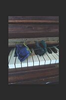 My Blue Melody (The Glbrm)