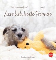 Ziemlich beste Freunde Postkartenkalender 2026 - Für...