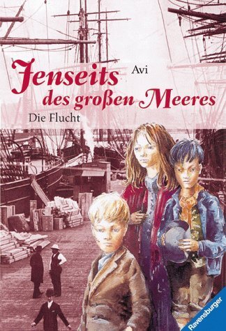 Jenseits des großen Meeres, Bd.1, Die Flucht (Jugendliteratur ab 12 Jahre)